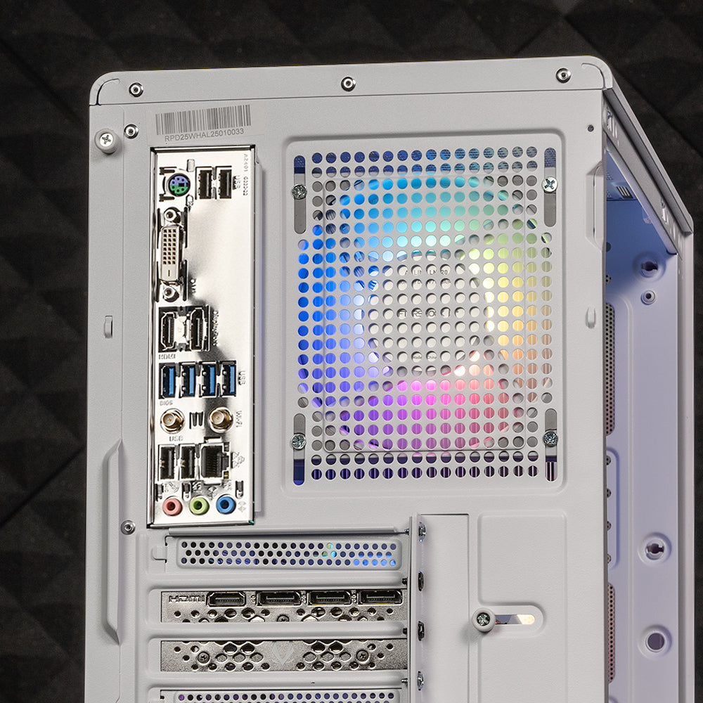 AMD Combo : Level 3 / Ryzen 5 5600 + Radeon RX 7700XT (White)