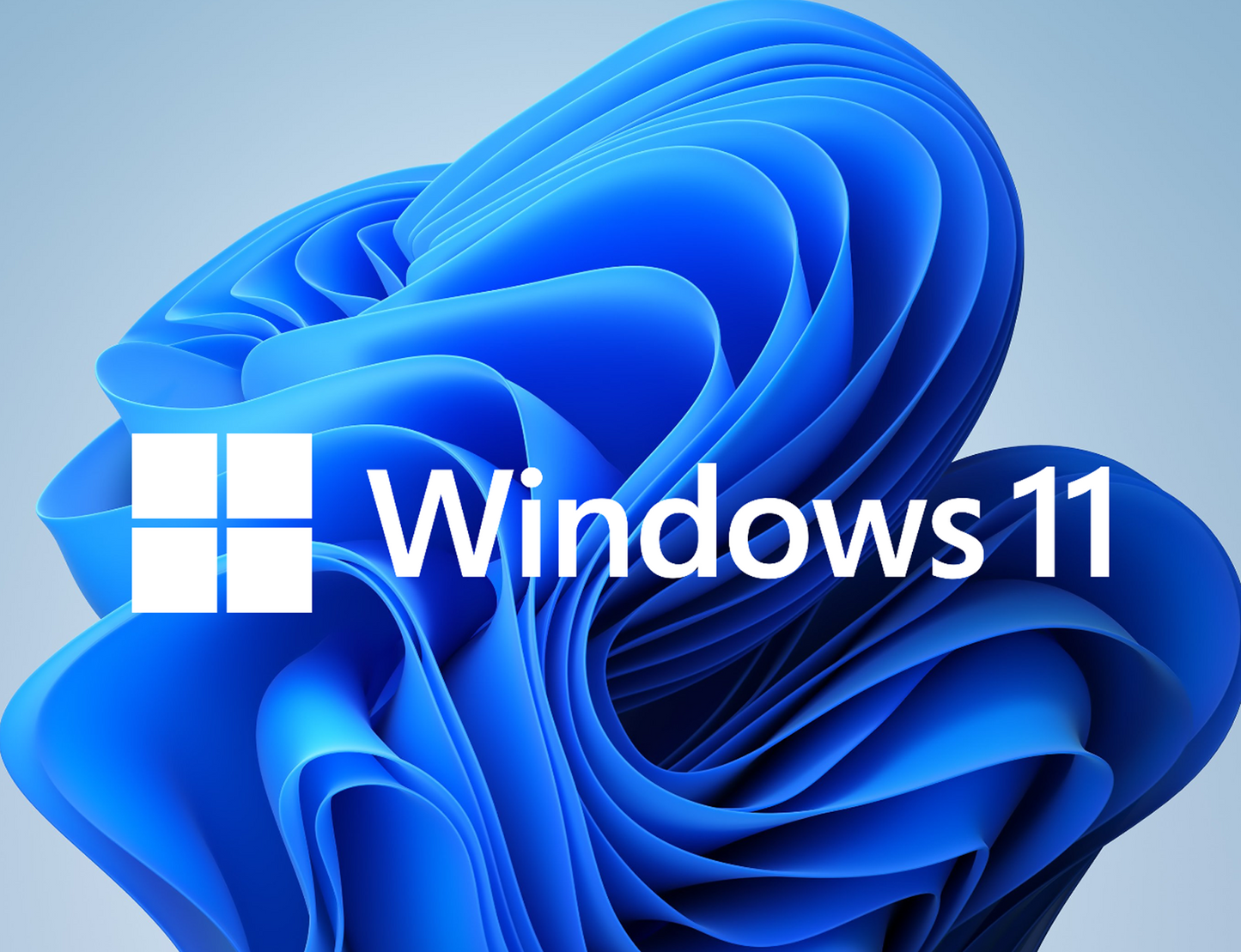 Windows 11 Professional 64bit