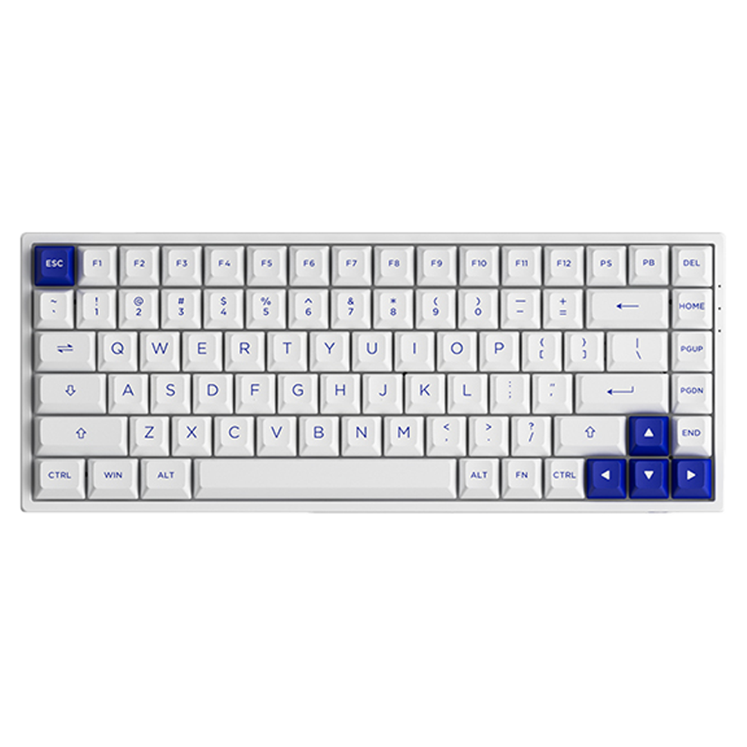 Akko 3084B Blue on White (Jelly Purple Switch)