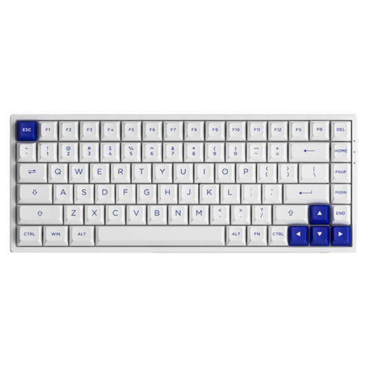 Akko 3084B Blue on White (Jelly Purple Switch)