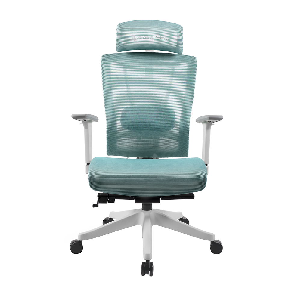 Omnidesk Embrace Pro Mesh (Teal) (Ships in 5-8 Working Days)