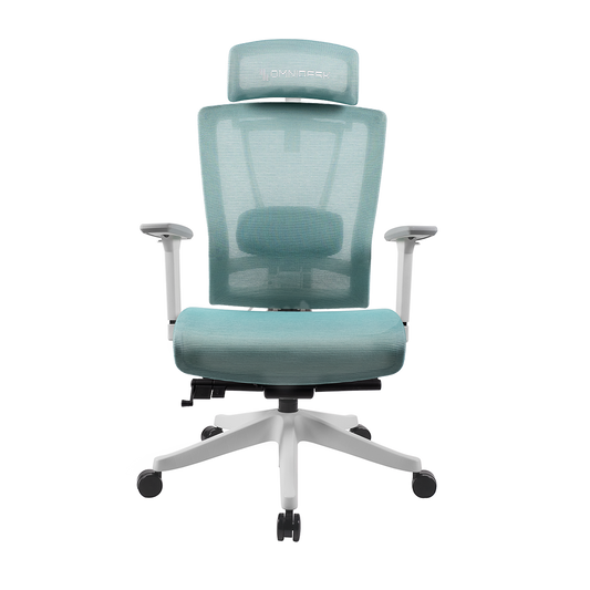 Omnidesk Embrace Pro Mesh (Teal) (Ships in 5-8 Working Days)