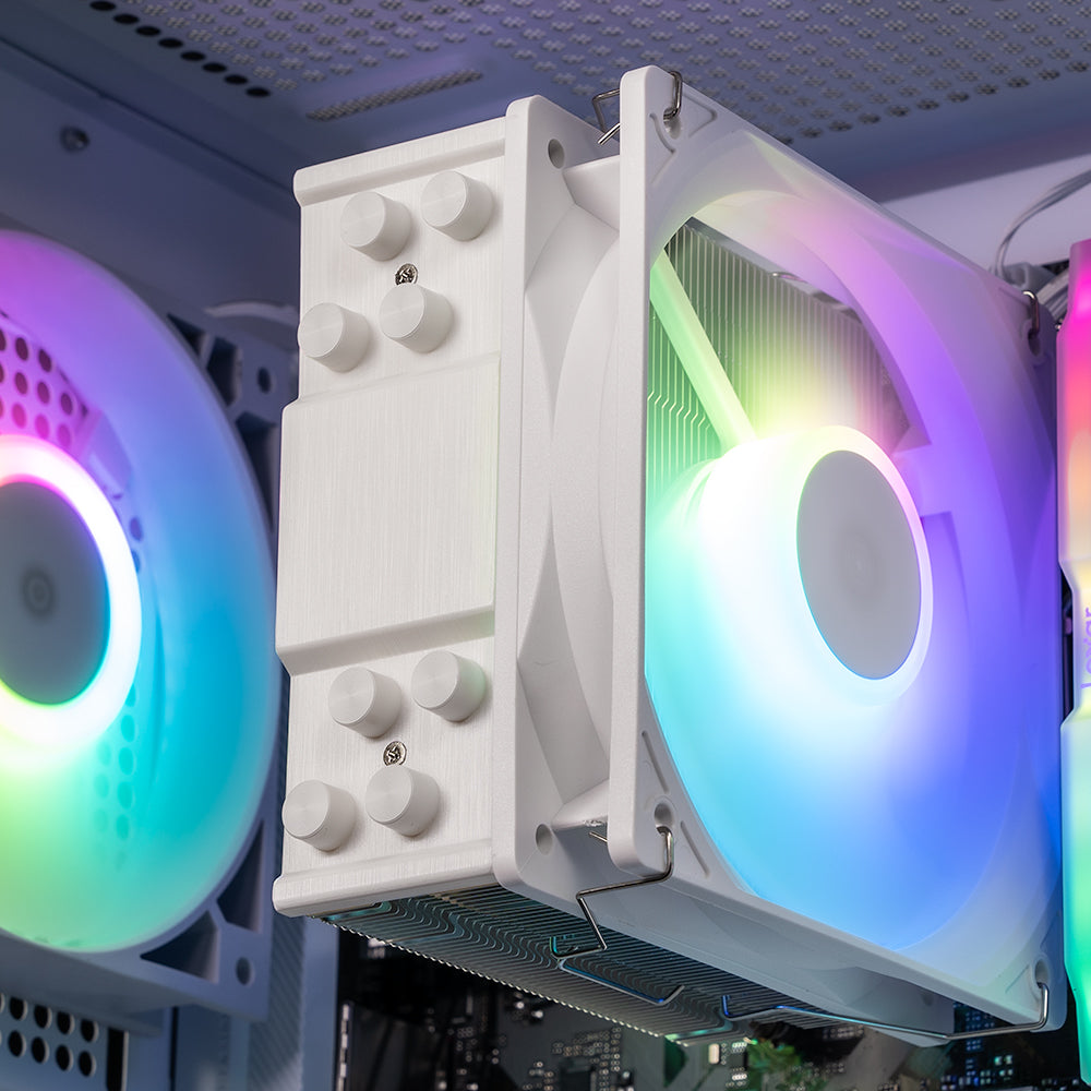 AMD Combo : Level 3 / Ryzen 5 5600 + Radeon RX 7700XT (White)