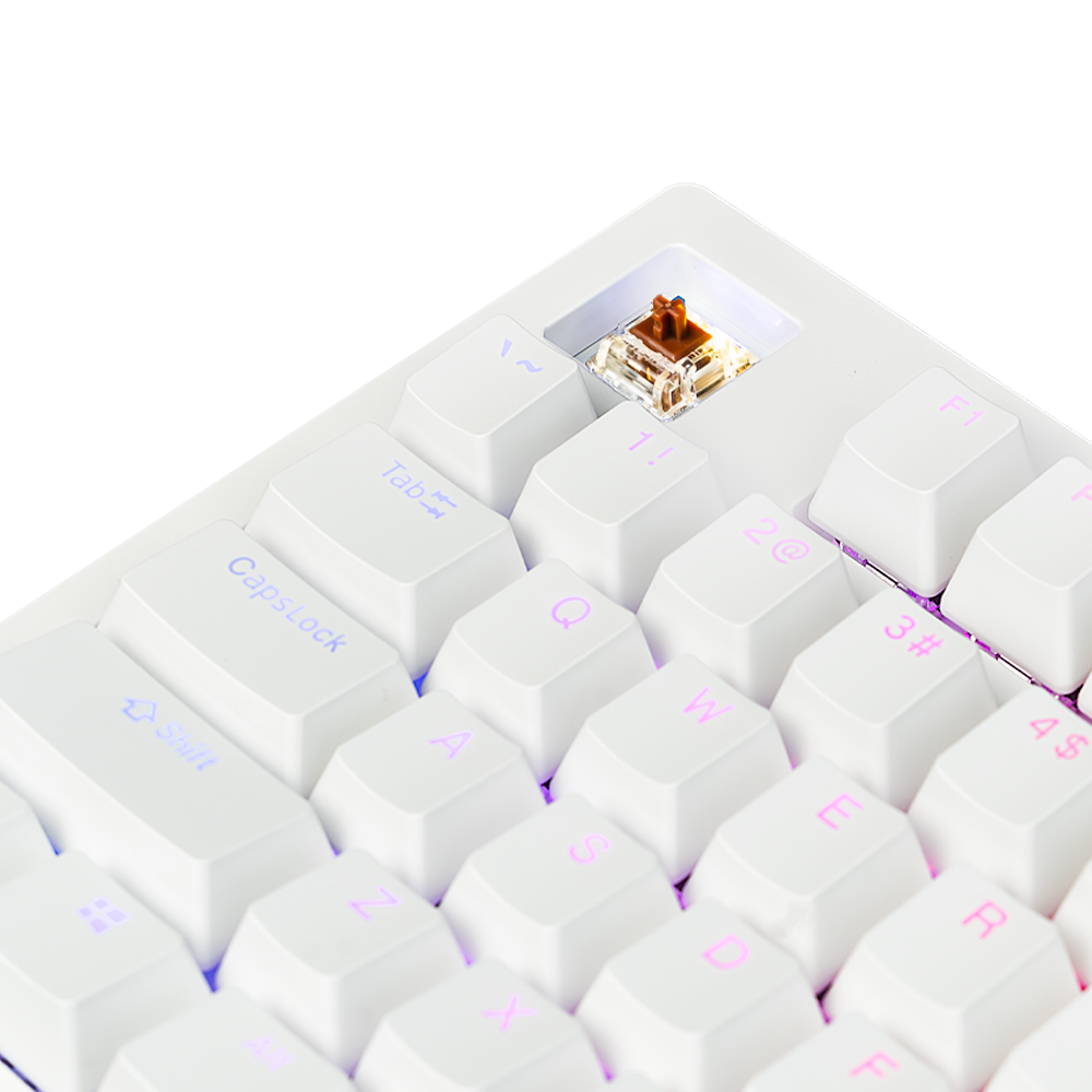 AFTERSHOCK ODEN v2 White Mechanical Keyboard (Brown Switch)